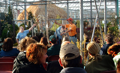 Photograph of tree auction